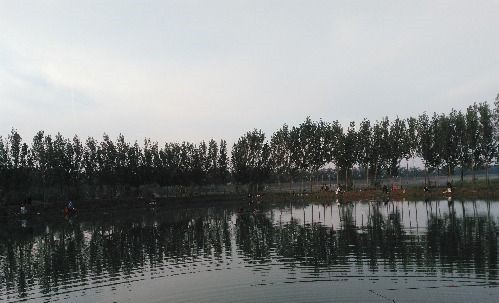 狼王竞技休闲垂钓中心