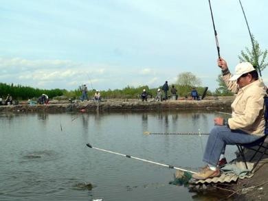 老胡垂钓园/原鱼塘湾