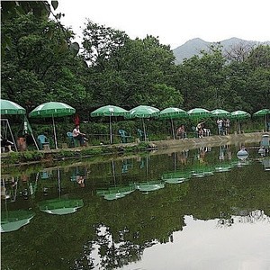 南开党校绿海垂钓