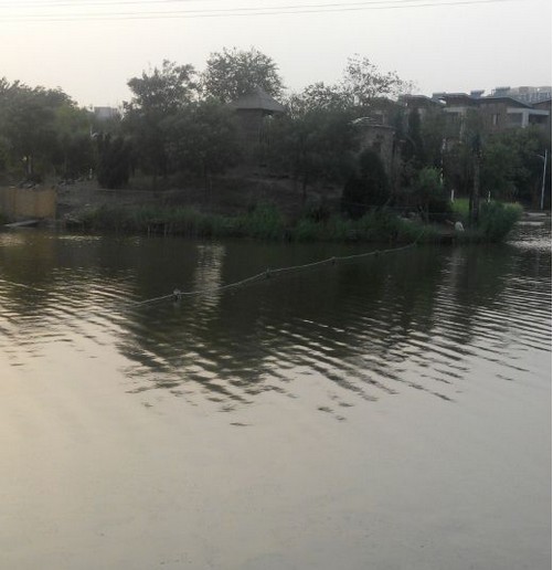 荷兰墅垂钓俱乐部