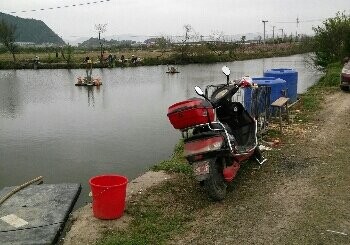 岙王村河塘钓场