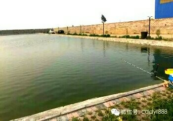 许家哨垂钓园