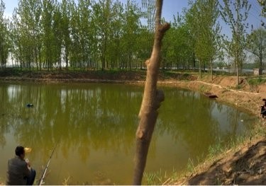 战友垂钓园