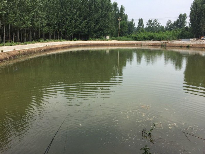 马秃子鱼塘