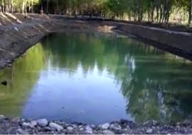 金宝台大宇垂钓园