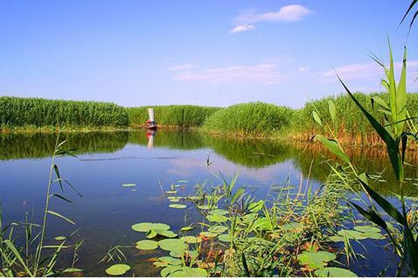 东湖公园钓鱼区