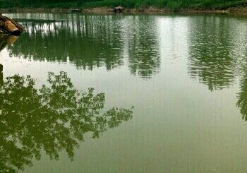 临河店乡大沙河