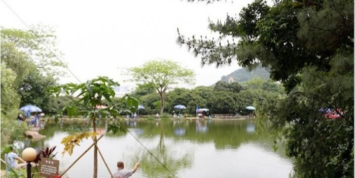 南山钓鱼俱乐部