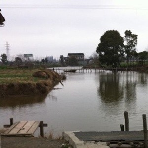 竹桥岛垂钓鱼场