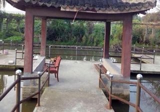 甪直阿木林钓场