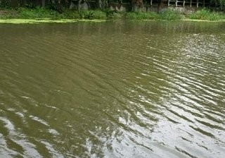 马路河双泉路钓段