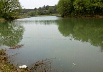 廿里镇杨家墈头村