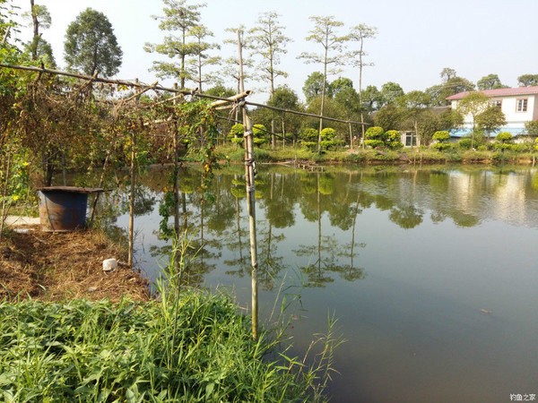 大站驿站泉水山塘