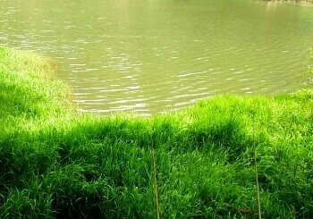 黄竹月亮田水库