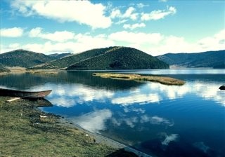 马颊河湿地公园