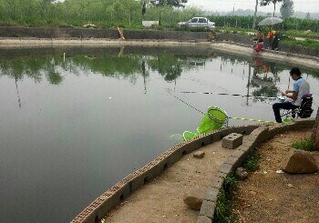 聚龙垂钓园