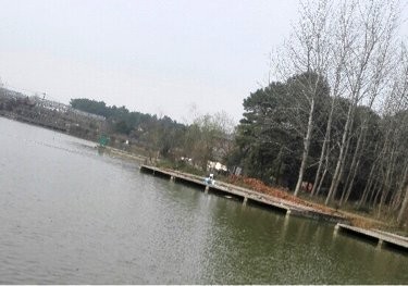 苏皖山庄垂钓园