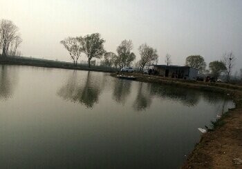 千翠湖农家乐钓场