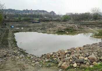 一号桥鑫河钓场