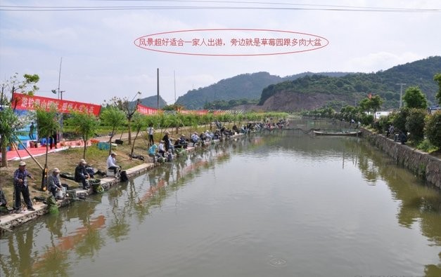 柴楼后桥头鱼塘