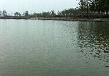 龙兴雨垂钓俱乐部