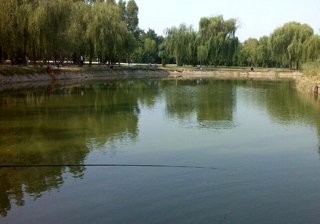 水城明珠垂钓园