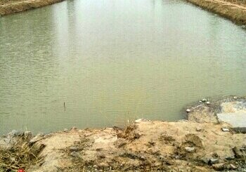 开发区钓友汇垂钓