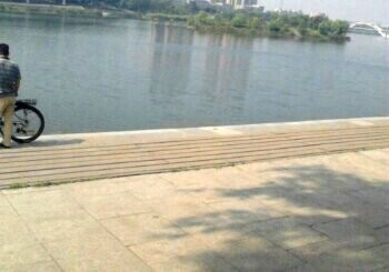 漯河市黄河路老虎头