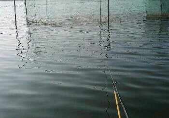 沙河幸福刘沙场