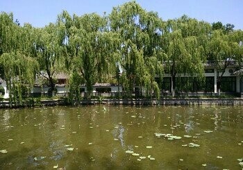 沂河滨河东路钓点