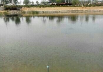 邹高庄河段钓场