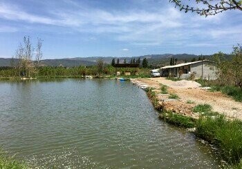 康乐竞技垂钓园