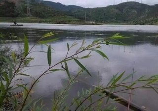 老干部活动中心