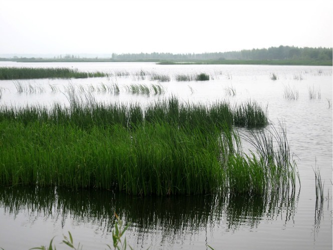 老龙岗水库