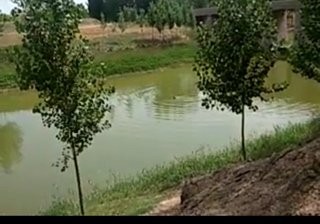 赵王河孟姑集段