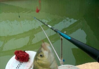 南水北调馆驿段