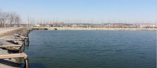 疃里公社生态园