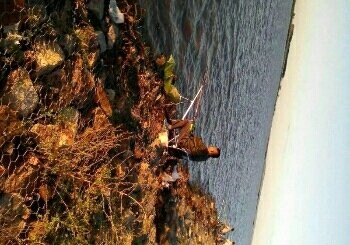 滨江湿地野外钓场