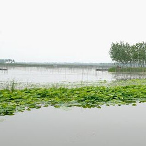 白马湖金湖河段