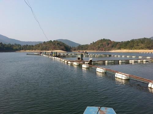农家乐园垂钓中心