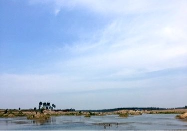 六股河沙场钓场