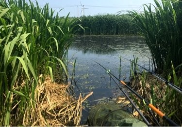 刘台子菱角河桥北