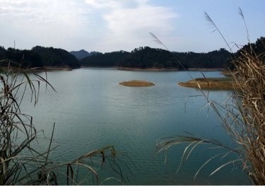 千岛湖楼底渔场