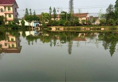 仙宅村鱼塘