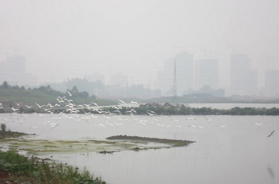 贺州市太白湖