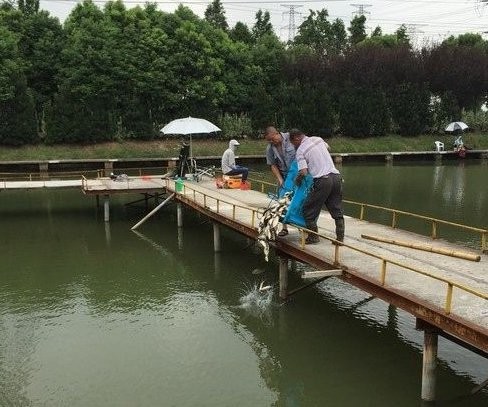 春园国际垂钓基地