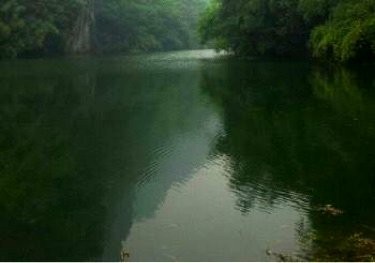 祁家辉煌竞技渔场