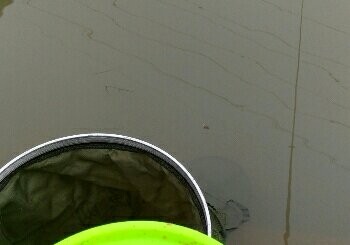 广州南站野钓场