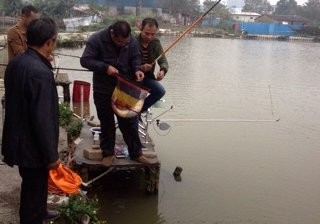 太公池钓鱼场