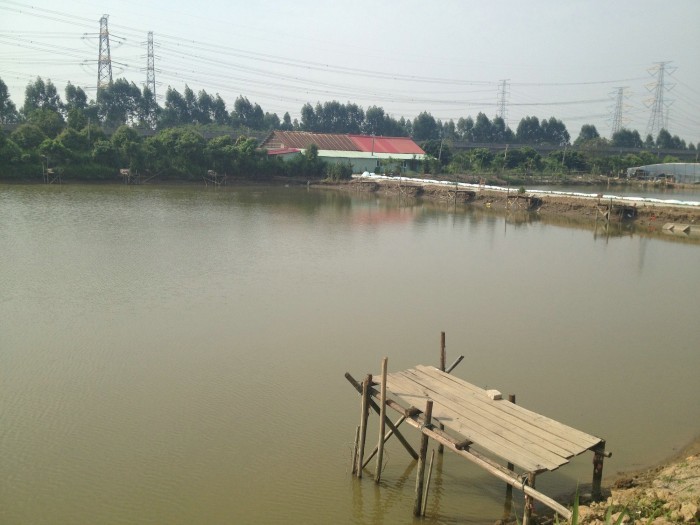 低涌花姐钓鱼场